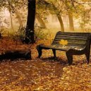 DRIVE - autumn day (Original mix)