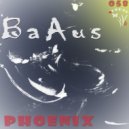 BaAus - Goodbye