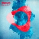 Signum - Coming On Strong