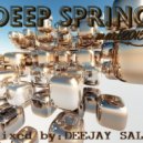 DEEJAY SALE - Deep Spring mart 2015