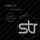 Labnote - Grey Shadow (Robyker Remix)