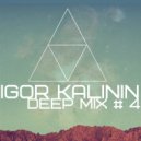 Igor Kalinin - Deep Mix # 4