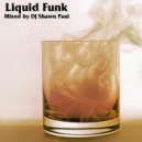 DJ Shawn Paul - Liquid Funk