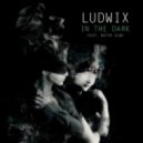 Ludwix feat. Katya Slok - In The Dark