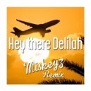Plain White T's - Hey There Delilah