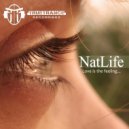 NatLife Feat. Inesse - Love Is The Feeling