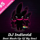 DJ Indievid - Mash-Up #5