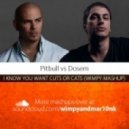 Pitbull vs. Dosem - I Know You Want Cuts or Cats