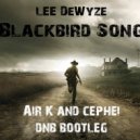 Lee DeWyze - Blackbird Song