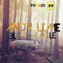 Andy Lime - Black Eagle (Original mix)