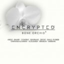 Encrypted Audio - Bone Orchid (Original mix)