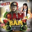 Pinto LMDT - Bam Bam