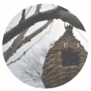 Tempus feat. Sarai Jazz - Remember Me