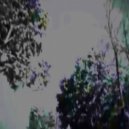 Dellafuente - Jaleo (Prod. by Stolen Forest)