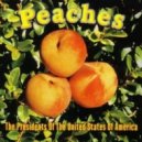 The Presidents Of The United States Of America - Peaches (Leygo Refix)