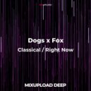 Dogs x Fox - Classical