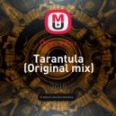 Dogs x Fox - Tarantula