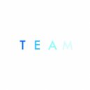 Lorde - Team