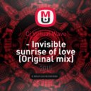 Cj Virtual Wave - Invisible sunrise of love (Original mix)