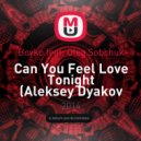 Boyko feat. Oleg Sobchuk - Can You Feel Love Tonight