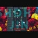 Madonna ft. Dyro vs Bass Kleph - Scream (Shoha Jin Mash Up)