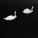 Cashmere Cat feat. Ariana Grande - Adore (MssingNo Remix)