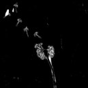 LuQuS - Fall