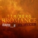 Tim Berg (Avicii) - Seek Bromance (Sash_S Radio Edit)