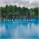 Daniela Andrade - Crave You (Сover Jesta Bootleg)