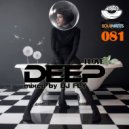 Dj Fly - I Love Deep Part 81