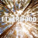 Etherwood - Give It Up