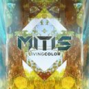 MitiS - Vulnerability