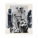 S.MAHARBA - Organs