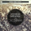 Digital Point - Night Pulse - Episode 020