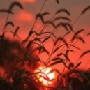nrtk - Ambient mix