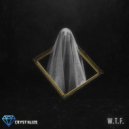 Party Thieves & Drean - W.T.F.