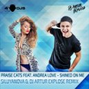 Praise Cats feat. Andrea Love - Shined On Me