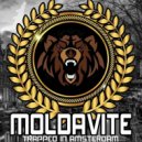 Moldavite - Trapped In Amsterdam