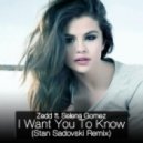 Zedd ft. Selena Gomez - I Want You To Know