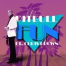 Pitbull ft Chris Brown - Fun