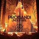 Probandi - Under Fire