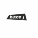 Bace J Feat. WT - We Fall