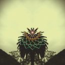 Volo - Spark