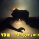 VitAl' - Merger