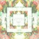 The Citrus Clouds - Nature