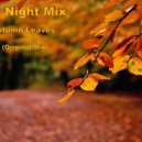 Dj Night Mix - Autumn leaves