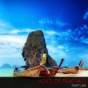 Voice Of Fractals - Cascade