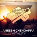 Aneesh Chengappa - Vitality