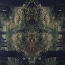 Cortel - The Past