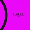 Chabud - Techno Taxi (Original Mix)